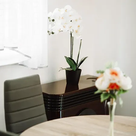 Apartman Sunny Hills Krapina Exterior photo